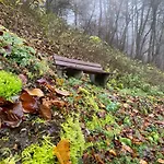 Waldlaeufer ברילון