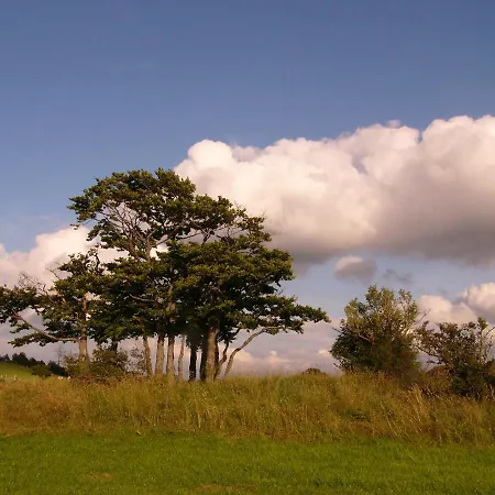 Waldlaeufer * ברילון