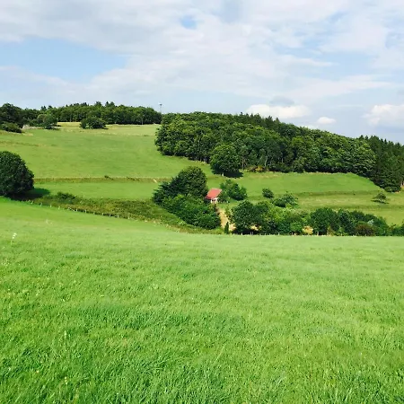 Waldlaeufer