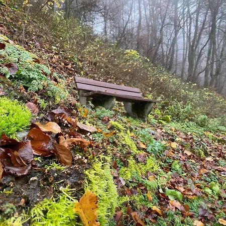 Waldlaeufer ברילון