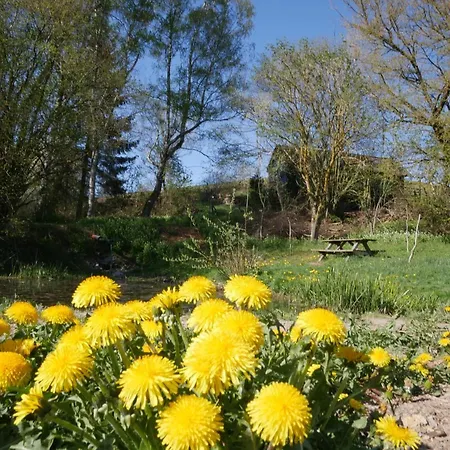 Waldlaeufer