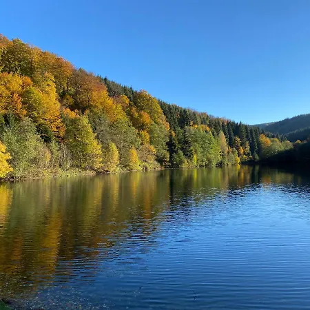 Waldlaeufer Brilon