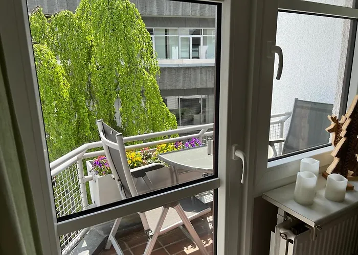 Waldlaeufer * 布里隆