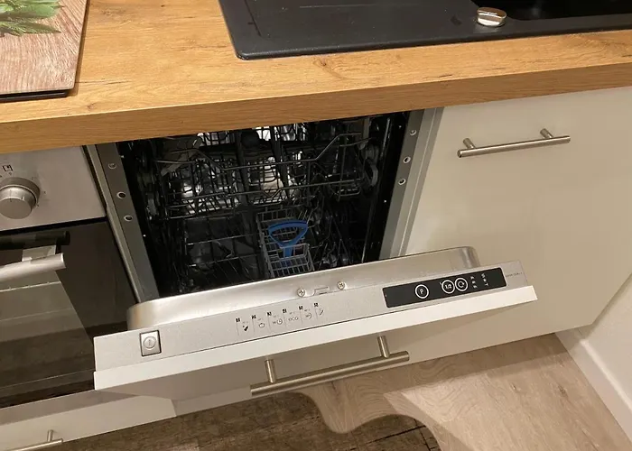 Waldlaeufer 布里隆