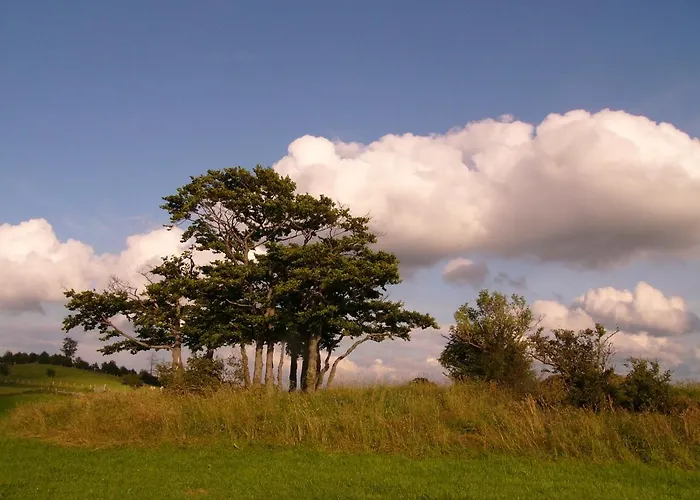 Waldlaeufer * 布里隆