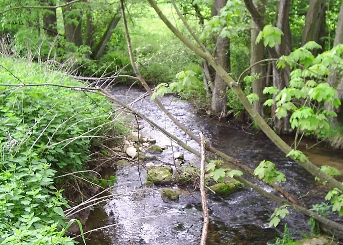 公寓 Waldlaeufer 布里隆