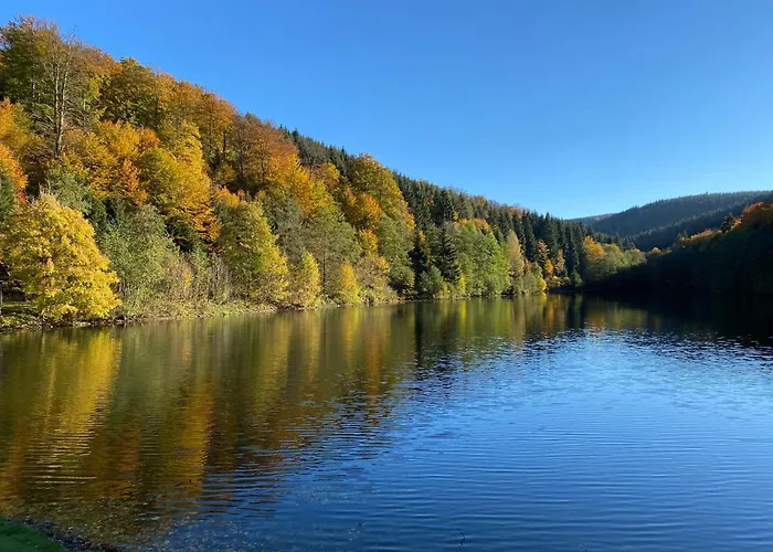 Waldlaeufer 布里隆