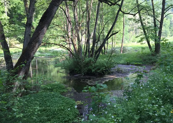 公寓 Waldlaeufer *